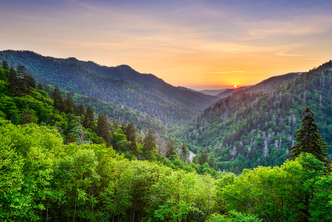 Newfound Gap in the Smoky Mountains, Tennessee, USA.